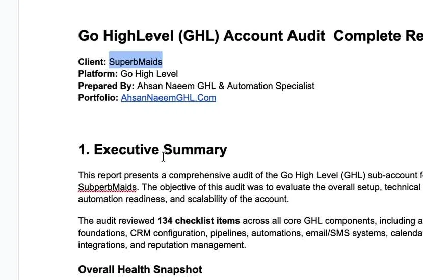 Audit report: executive summary and health snapshot